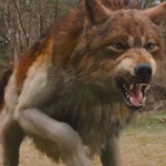 new-moon-wolf